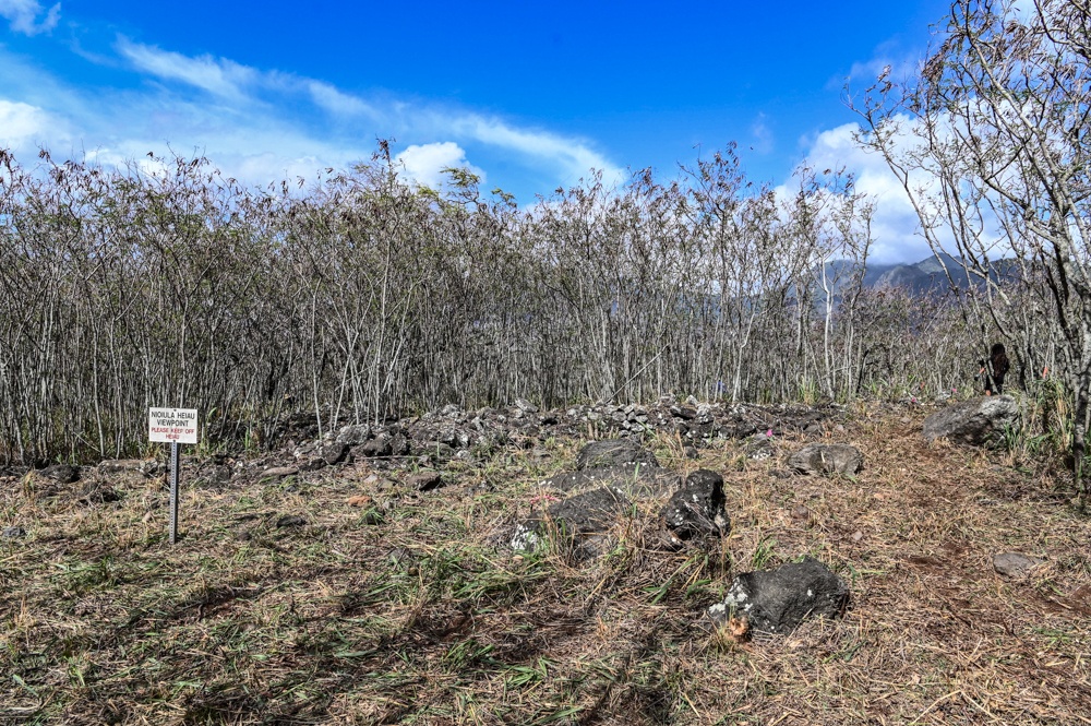 Nioiʻula Heiau Restoration