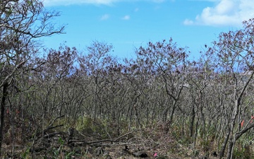 Nioiʻula Heiau Restoration