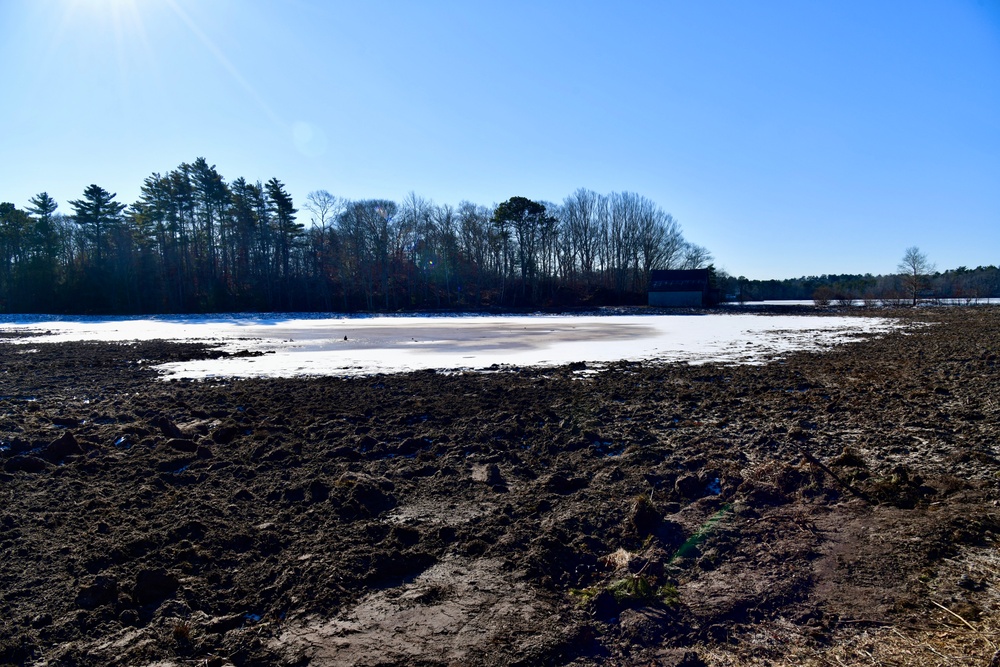 Mashpee Cranberry Bog Site Visit