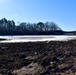 Mashpee Cranberry Bog Site Visit