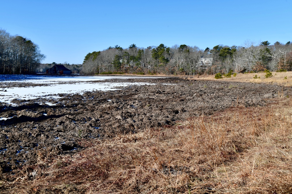 Mashpee Cranberry Bog Site Visit