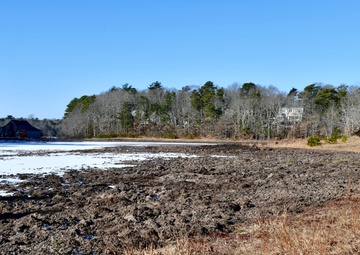 Mashpee Cranberry Bog Site Visit