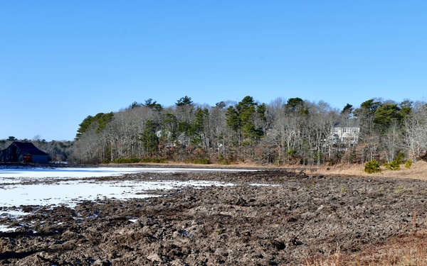 Mashpee Cranberry Bog Site Visit