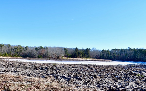 Mashpee Cranberry Bog Site Visit