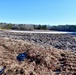 Mashpee Cranberry Bog Site Visit