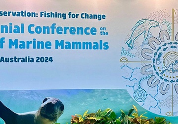 NUWC Division Newport biologist presents the science behind marine mammal collisions at Australian conference