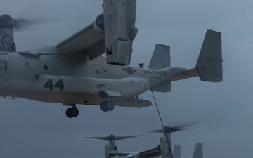 31st MEU | BLT 2/4 conducts Fast Rope Exercise