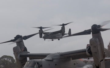 31st MEU | BLT 2/4 conducts Fast Rope Exercise