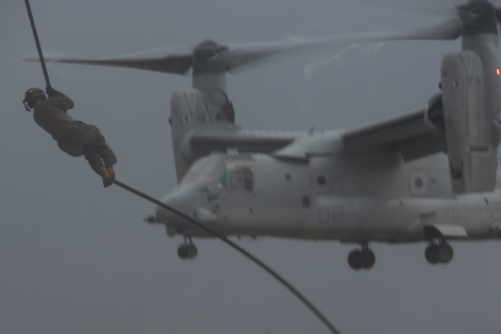 31st MEU | BLT 2/4 conducts Fast Rope Exercise