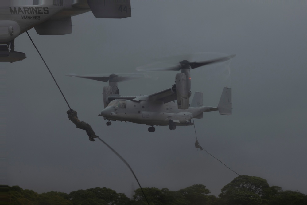 31st MEU | BLT 2/4 conducts Fast Rope Exercise