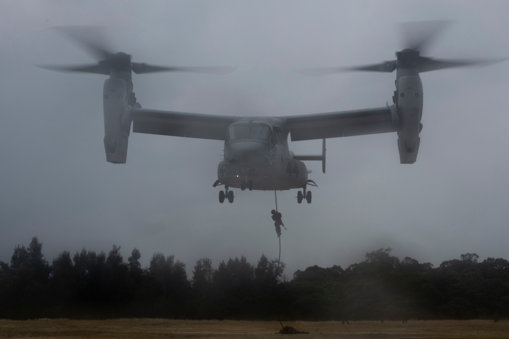 31st MEU | BLT 2/4 conducts Fast Rope Exercise