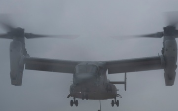 31st MEU | BLT 2/4 conducts Fast Rope Exercise