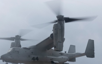 31st MEU | BLT 2/4 conducts Fast Rope Exercise