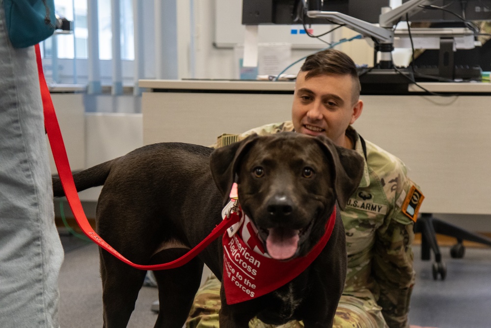 Red Cross Animal Visitation Program