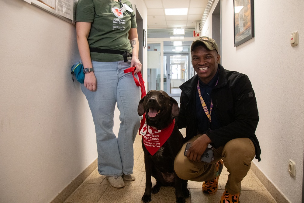 Red Cross Animal Visitation Program