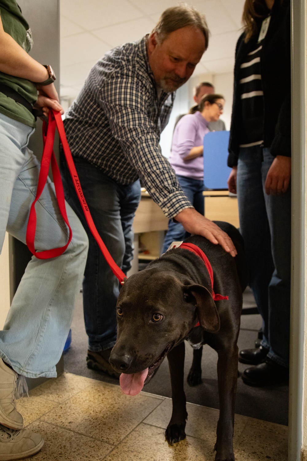 Red Cross Animal Visitation Program