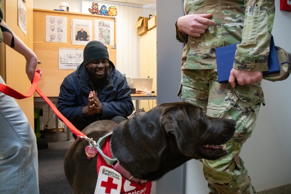 Red Cross Animal Visitation Program