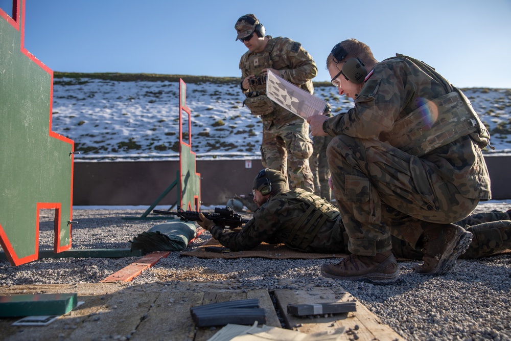 U.S. Army Soldiers host range day for German and Polish partners