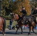 Veteran's Day Parade in the Little Apple