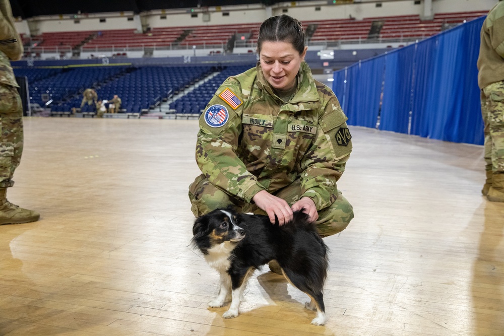 Army Spc. Emily Proulx Finds Comfort in Emotional Support Dog During In-Processing Ahead of 60th Presidential Inauguration