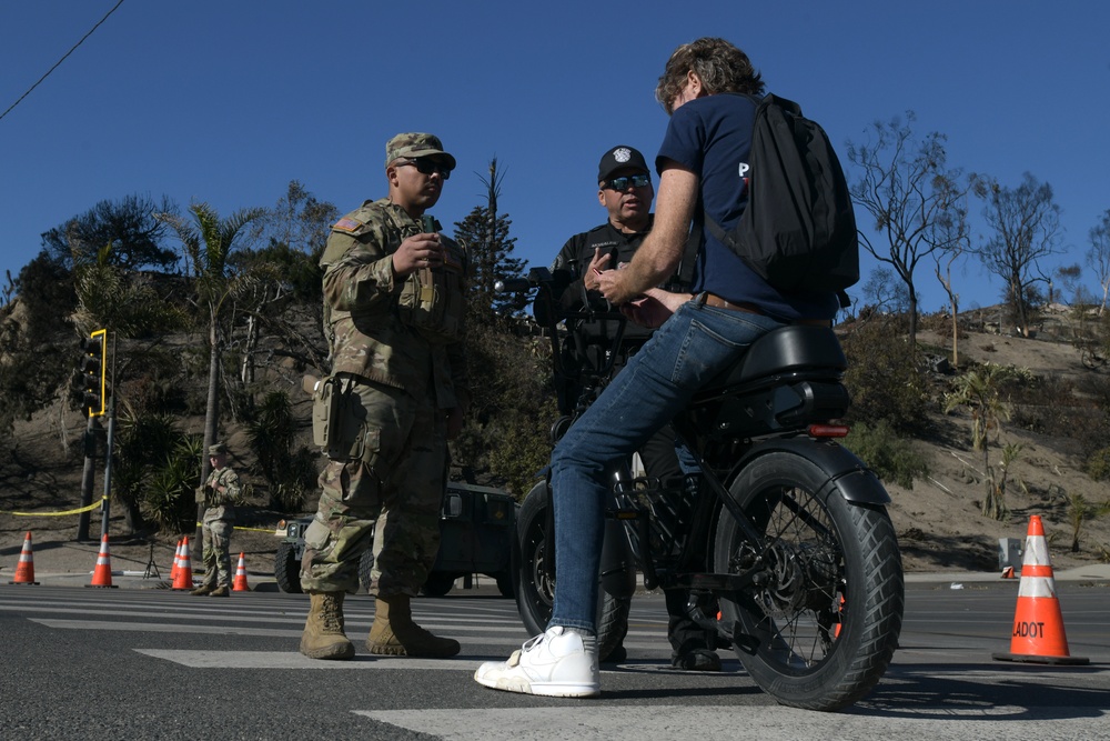 Los Angeles wildfire response efforts