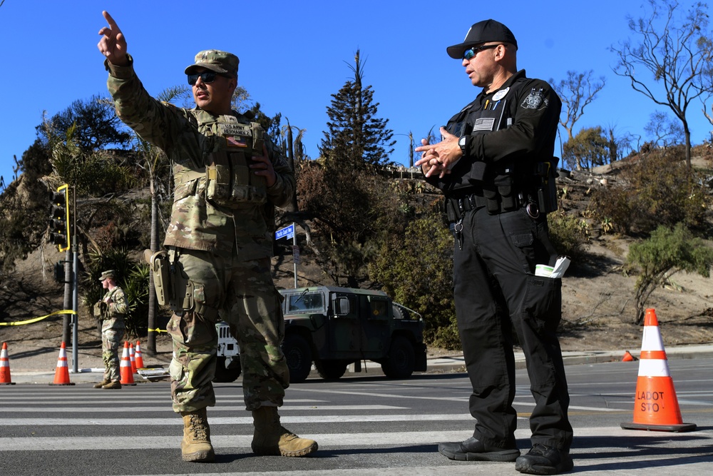 Los Angeles wildfire response efforts