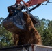 Hurricane Helene Recovery: Temporary Debris Management Site in Mcintosh County, Georgia.