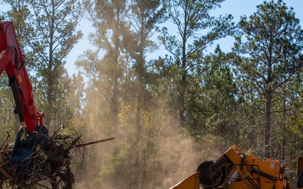 Hurricane Helene Recovery: Temporary Debris Management Site in Mcintosh County, Georgia.