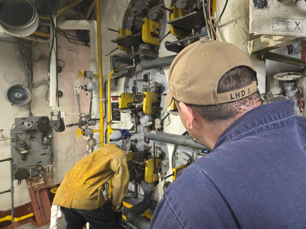 Wasp Conducts Boiler Light Off