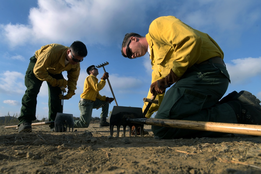 California Army National Guard Los Angeles wildfire response efforts