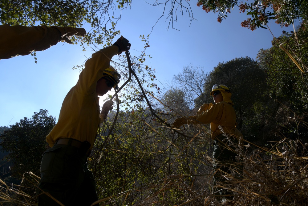 California Army National Guard Los Angeles wildfire response efforts