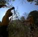 California Army National Guard Los Angeles wildfire response efforts