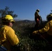 California Army National Guard Los Angeles wildfire response efforts