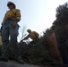 California Army National Guard assists with Los Angeles wildfire response efforts