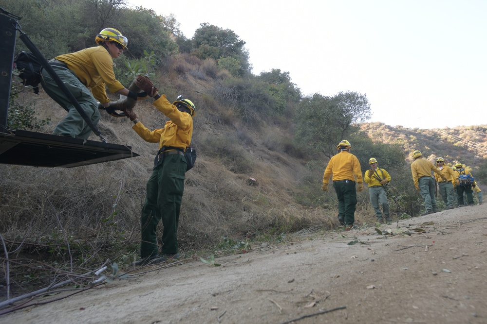 California Army National Guard assists with Los Angeles wildfire response efforts