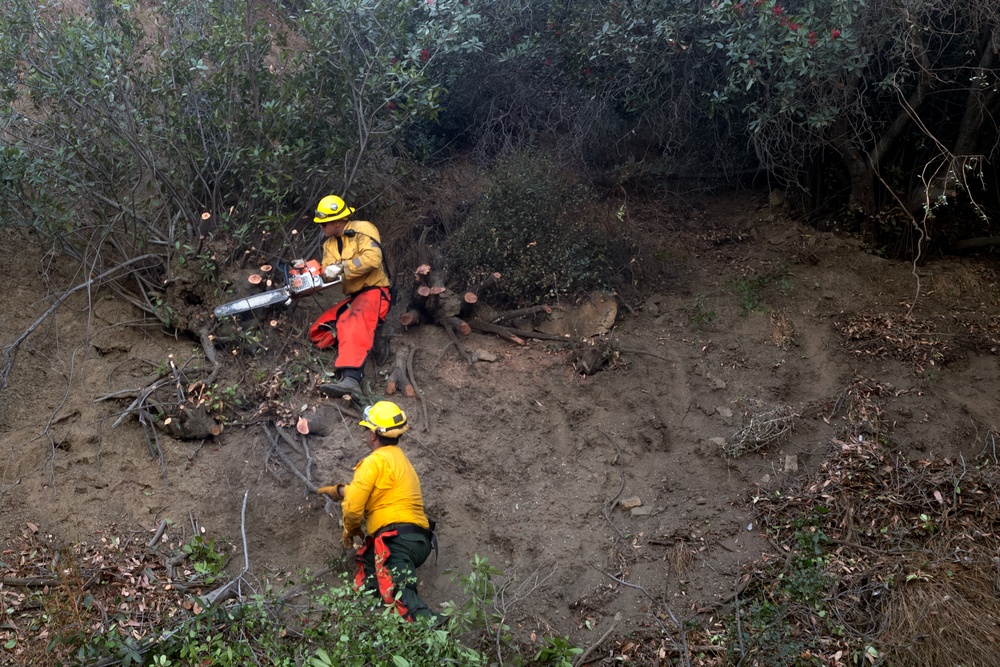 California Army National Guard assists with Los Angeles wildfire response efforts