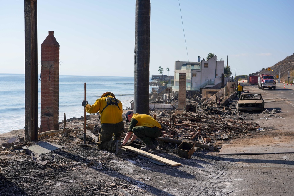 Cal Fire, California Task Force 3 and Ejercito Mexicano Rescate respond to the Palisades wildfire in California.