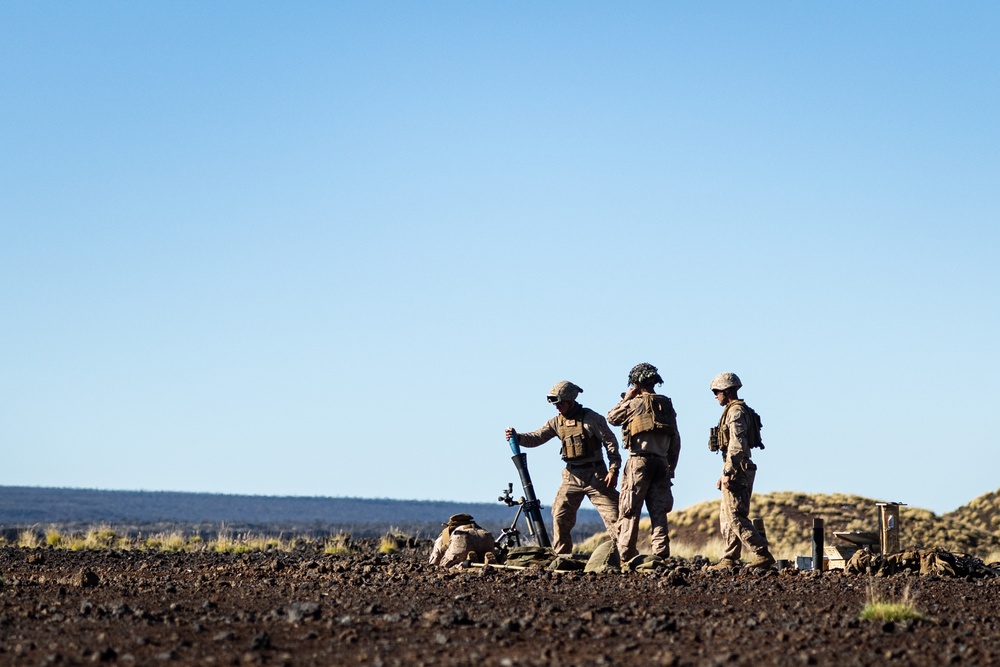 3d LCT Conducts Live-Fire Mortar Range at PTA