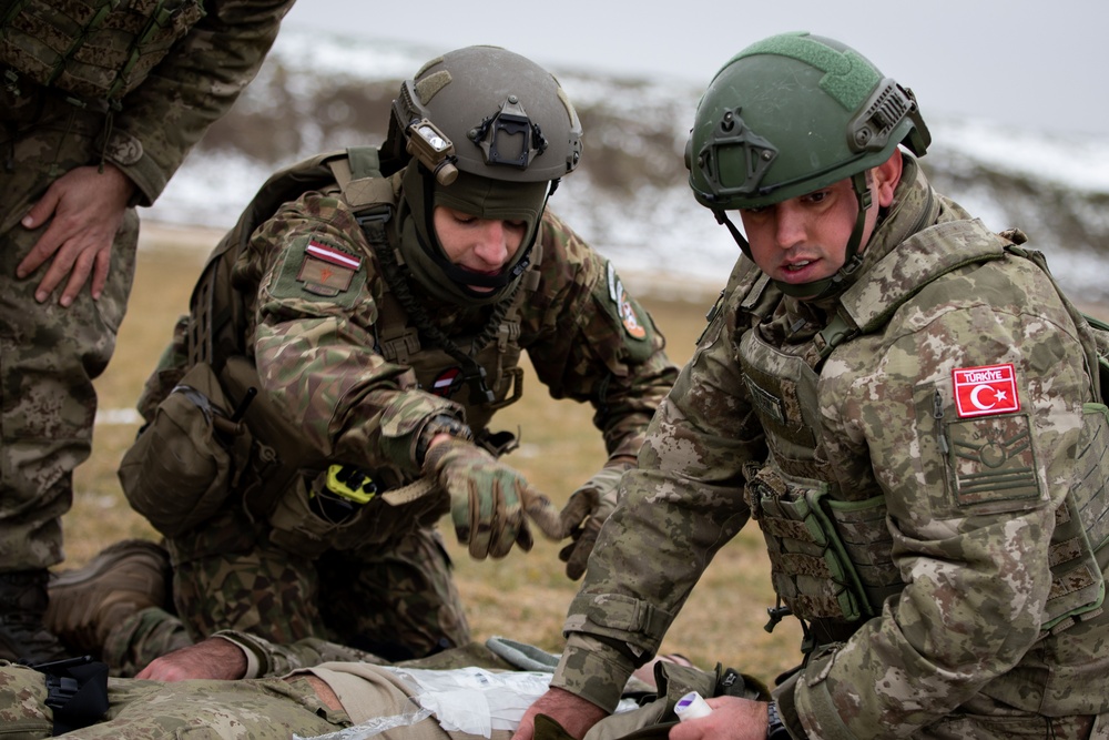 U.S. KFOR contingent hosts multinational CLS course in Camp Novo Selo