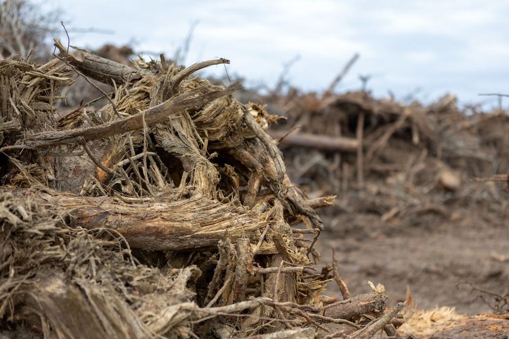 Hurricane Helene Recovery: Temporary Debris Storage and Reduction Site in Lowndes County, Georgia.