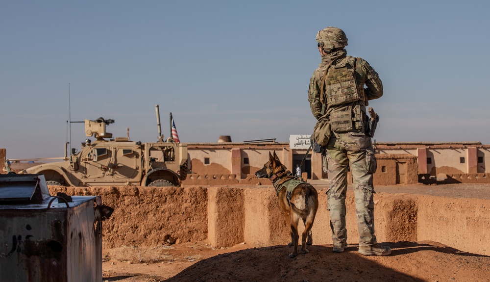 Task Force Armadillo and SFA Conduct Joint Patrol