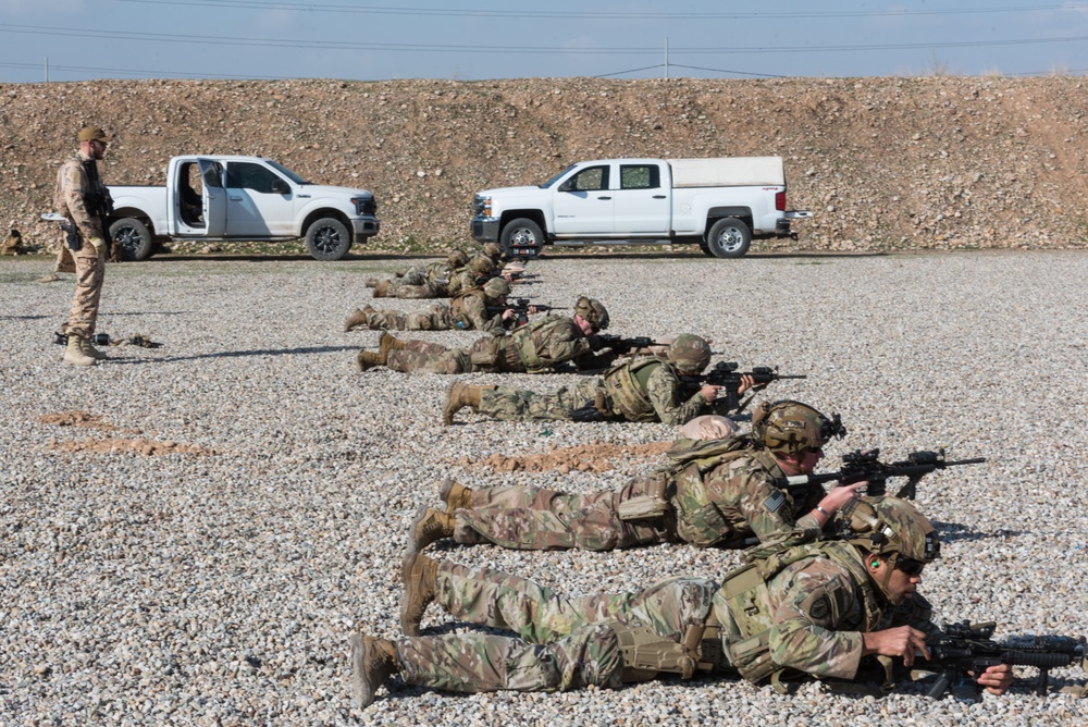 Coalition Forces Conduct Estonian-Led Range Operations