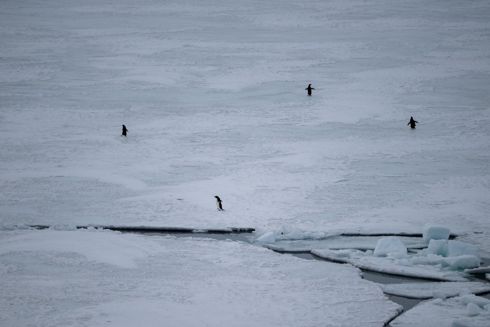 USCGC Polar Star (WAGB 10) transits McMurdo Sound during Operation Deep Freeze