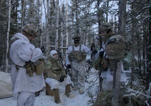 Mobile Gun System qualifications in Alaska
