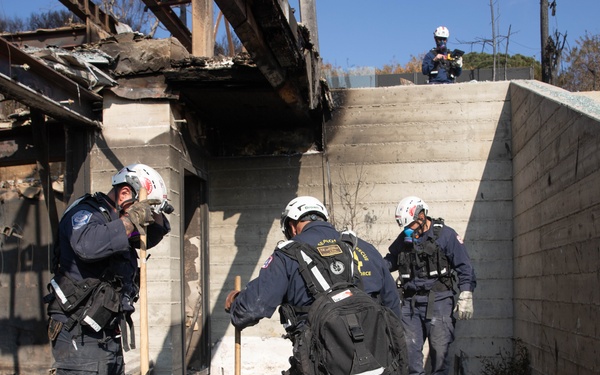 Search and Rescue teams perform search mission in Pacific Palisades
