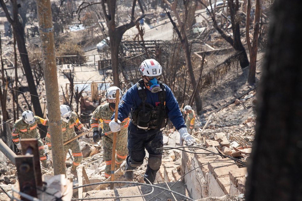 Search and Rescue teams perform search mission in Pacific Palisades