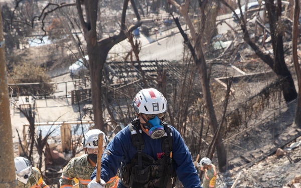 Search and Rescue teams perform search mission in Pacific Palisades