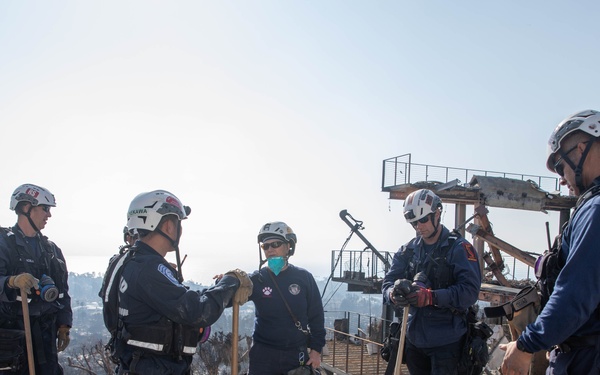 Search and Rescue teams perform search mission in Pacific Palisades