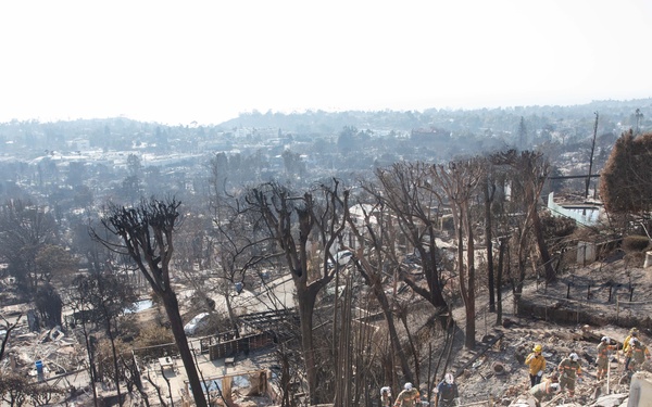 Search and Rescue teams perform search mission in Pacific Palisades