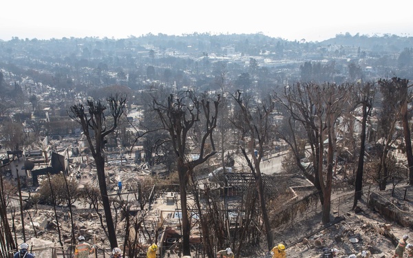 Search and Rescue teams perform search mission in Pacific Palisades